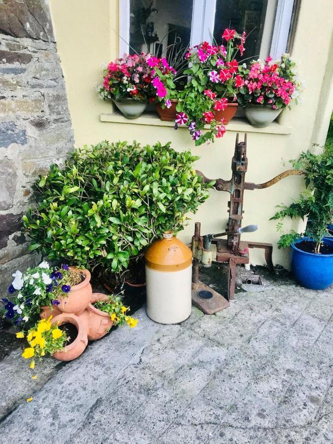 The Tower House B&B Thomastown  Buitenkant foto