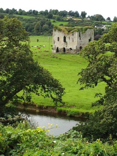 The Tower House B&B Thomastown  Buitenkant foto